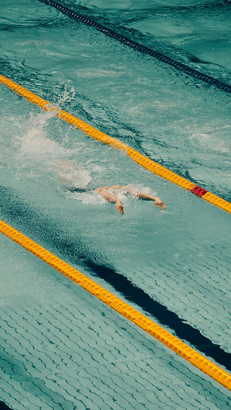 Schwimmer