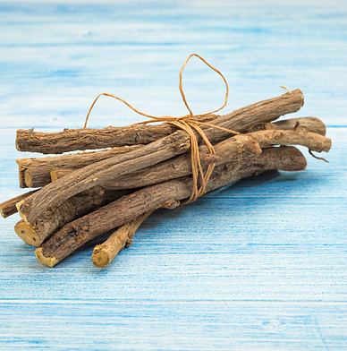 bundle of licorice roots Glycyrrhiza glabra on rustic table
