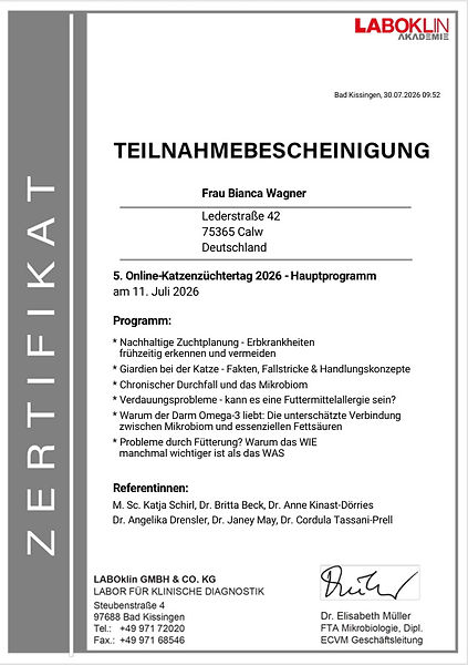 Züchter-Katze.jpg