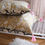 Miniature : Coussin botanical