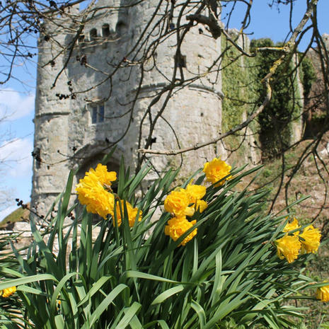 English Heritage - Carisbrooke