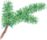 Satul de vacanta - Fratii Jderi Utopia Verde