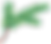PIne Tree Branch