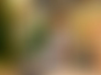 Nikon's new "Tesla!" More than a Nifty 50!