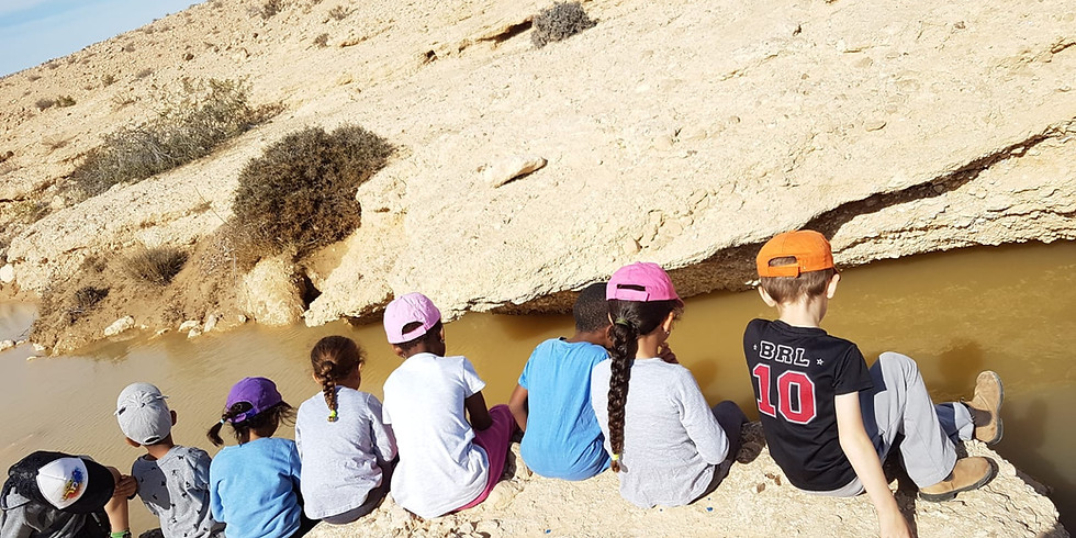 ערב חשיפה