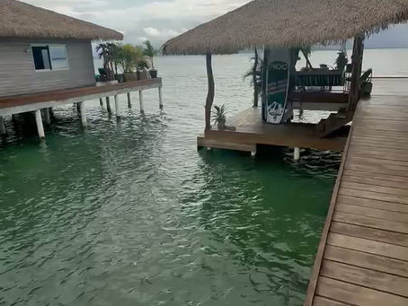 Sargassum in the Caribbean – Current Situation in Bocas del Toro