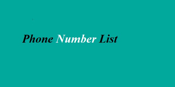 The Analysis Revealed Significant Legacy Brazil Phone Number List content media