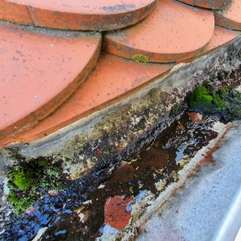 Gutter Saver PRO - moss in gutter