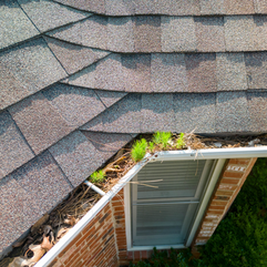 Gutter Saver PRO - debris in gutter