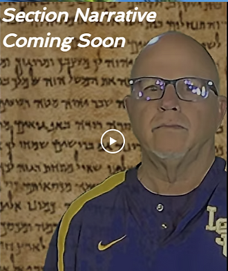 section narrative comiong soon.png