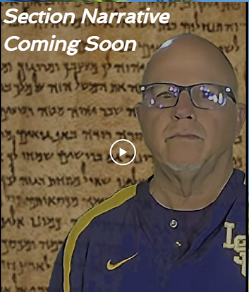 section narrative comiong soon.png