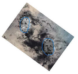 faces circled.png