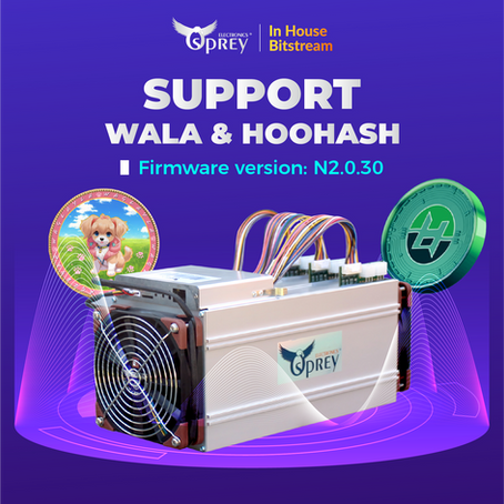 Release Note: WALA and HOOHASH Now Mineable on the E300 Platform