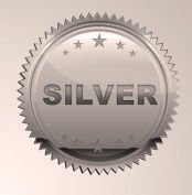 Thumbnail: Business Logo Package Silver