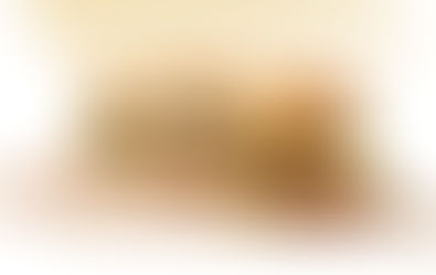 MINI BURGER D’AGNEAU DU JOUR DE L’AN AVEC MAYONNAISE AU CHAMPAGNE ET FROMAGE BOURSIN AUX CANNEB