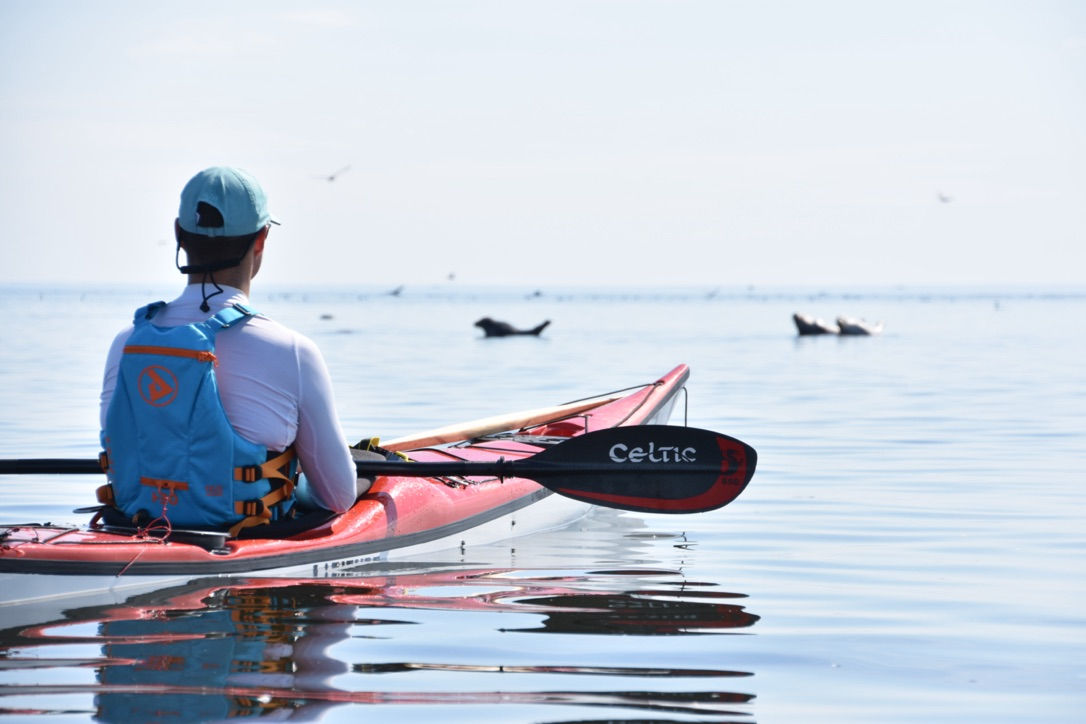 Manija/Sorgu süstamatk 9.-10.08.2025