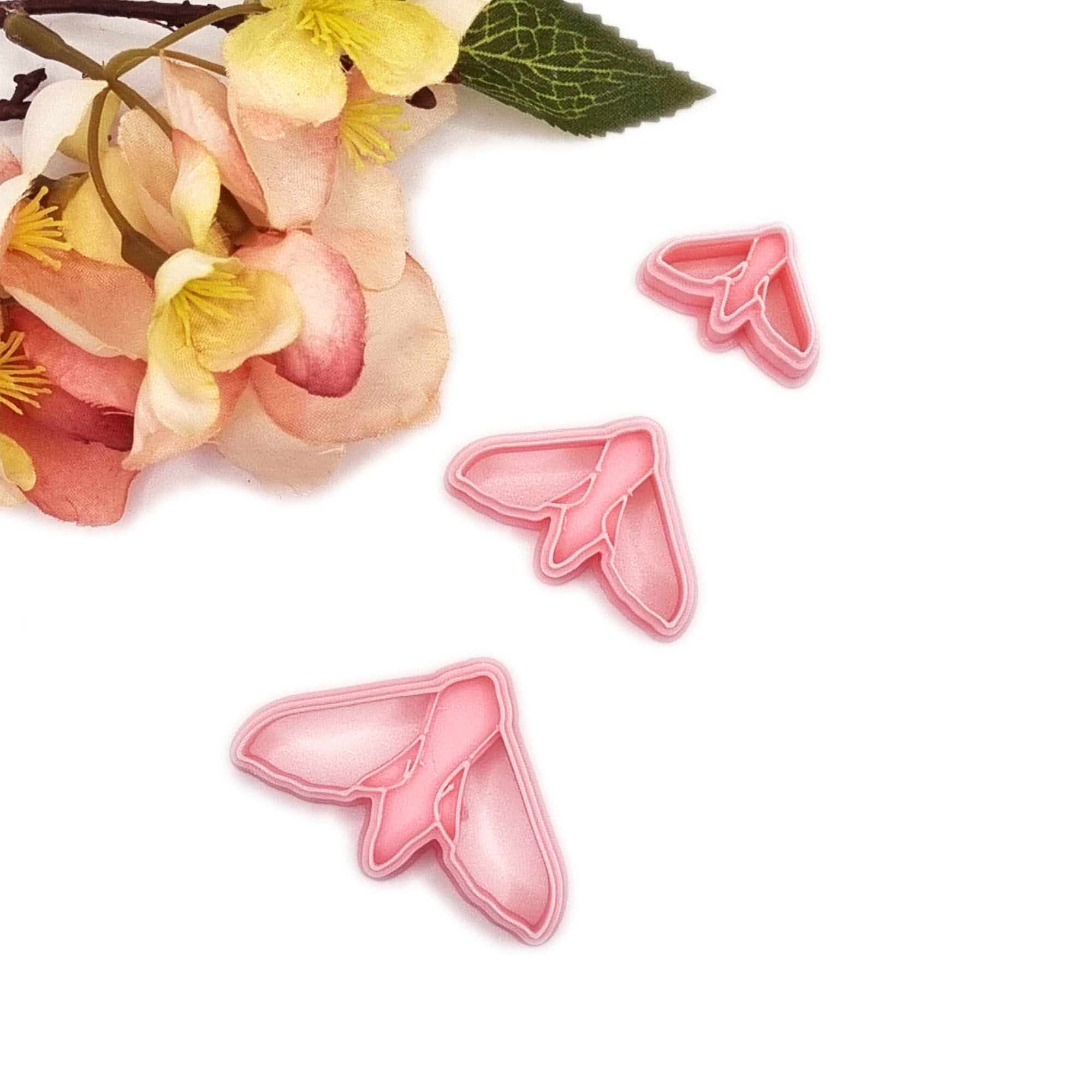 Moths & Butterflies - Elephant Hawk Moth