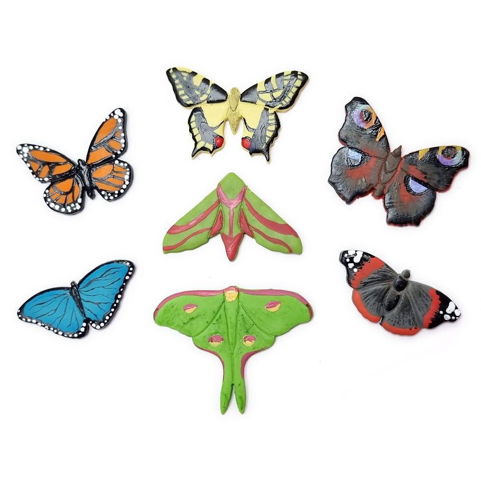 Thumbnail: Moths & Butterflies - Elephant Hawk Moth