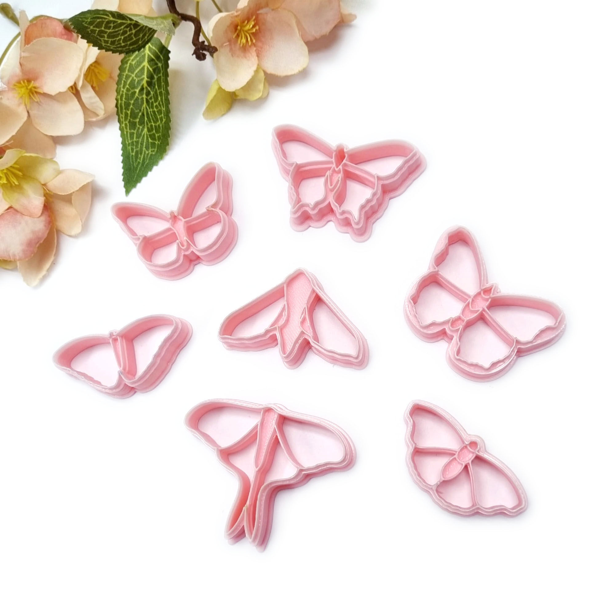 Moths & Butterflies - Species Collections