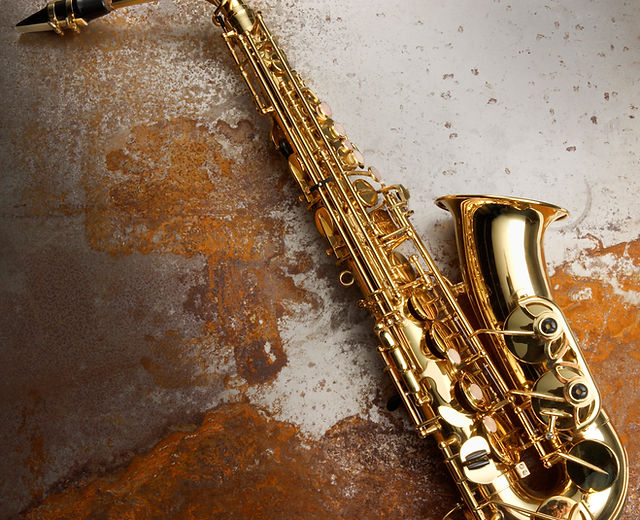 Bari woodwind sales
