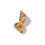 Thumbnail: Tulip sea shell single earring 