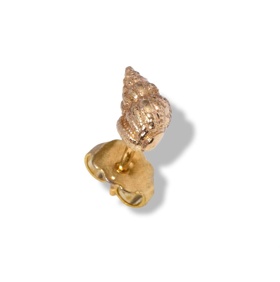 Thumbnail: Tulip sea shell single earring 
