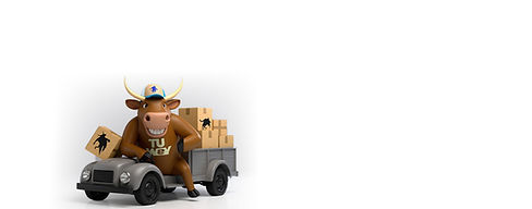 TuWey-camion.jpg