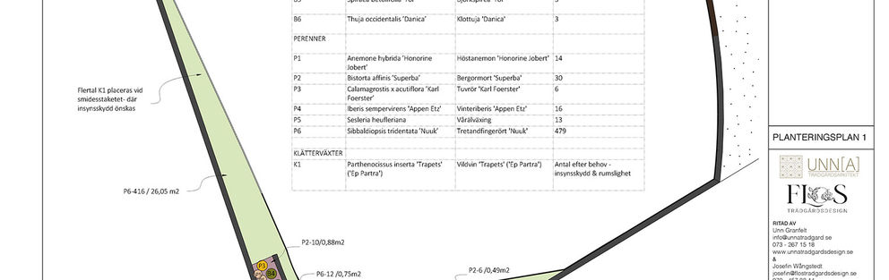 Planteringsplan för rabatt med växter och träd.
