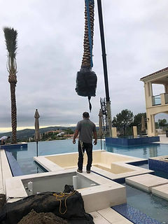 palm installation .jpg