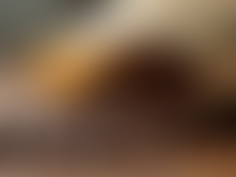 Close-up view of Starbucks coffee beans in a transparent bag