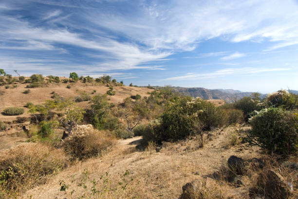 Escaping Mumbai's 38°C Humidity: Why the Satpura Range Is Maharashtra's Coolest Hideout This Week
