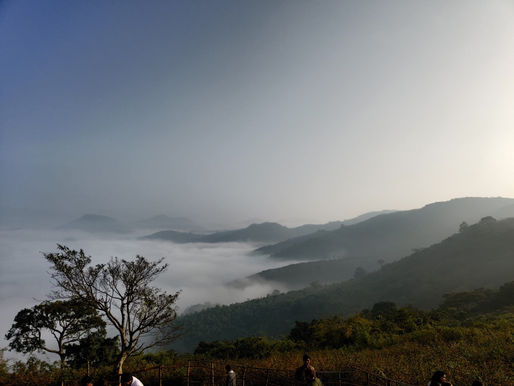 Which Time Is Best to Visit Lambasingi? Your Ultimate Guide to Lambasingi Snowfall