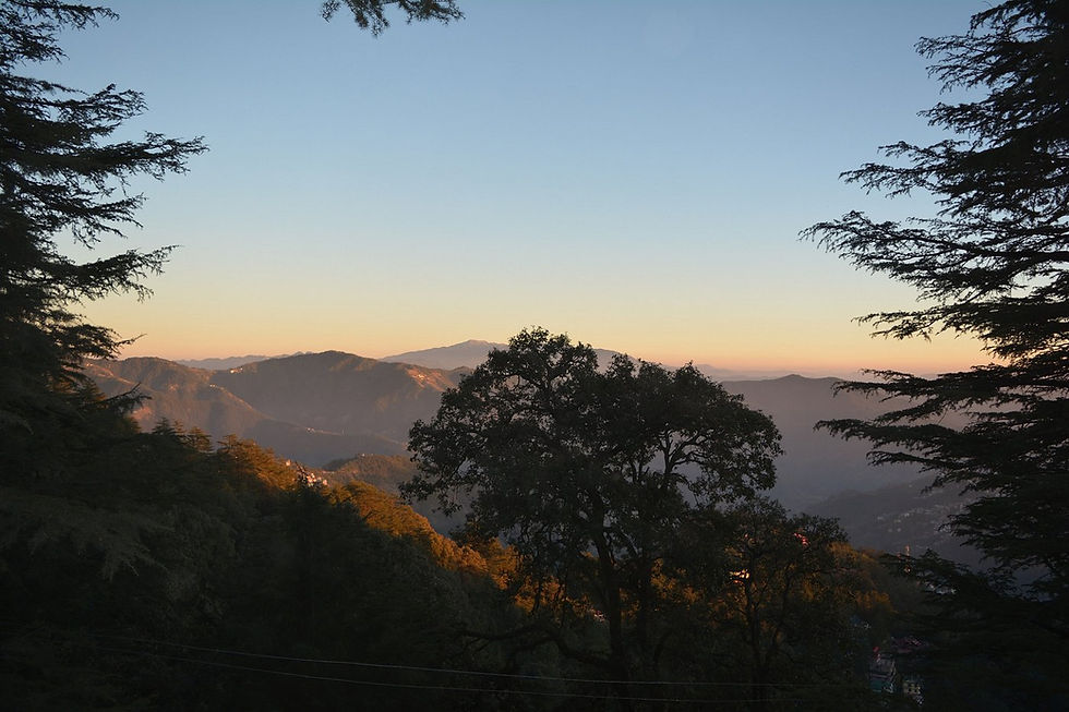 Sunrise over misty mountains framed by dark pine trees, with a glowing orange horizon and calm sky.