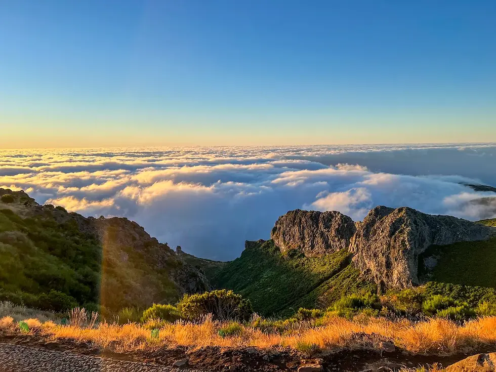 Sunrise over rocky green mountains above a sea of clouds, with blue sky and golden grass in the foreground.