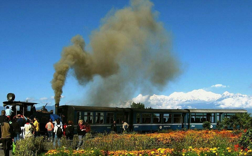 Steam train blows smoke past tourists in a flower field with snowy mountains under a clear blue sky.