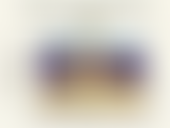 Cross-section diagram of a perovskite solar cell showing all layers from glass substrate to metal electrode, including the 300–600nm ABX₃ absorber layer.