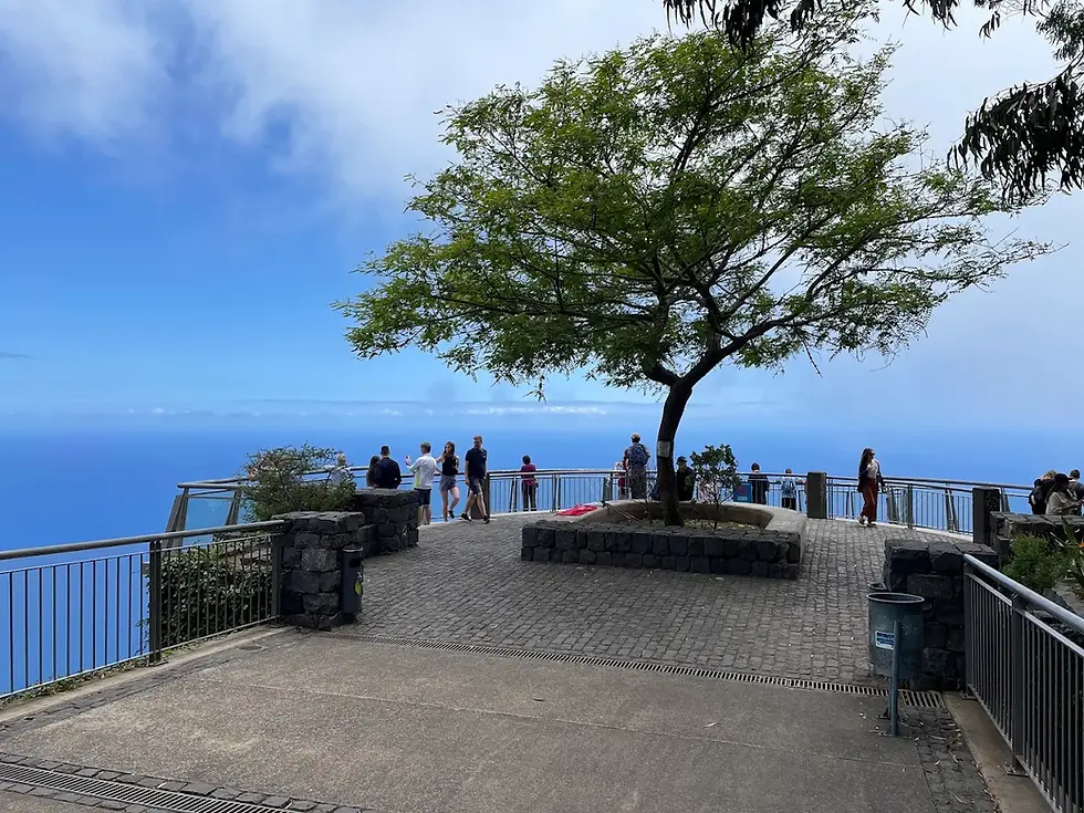 Tourists at a scenic ocean lookout beneath a wide tree, with blue sky, railing, and stone-paved terrace.