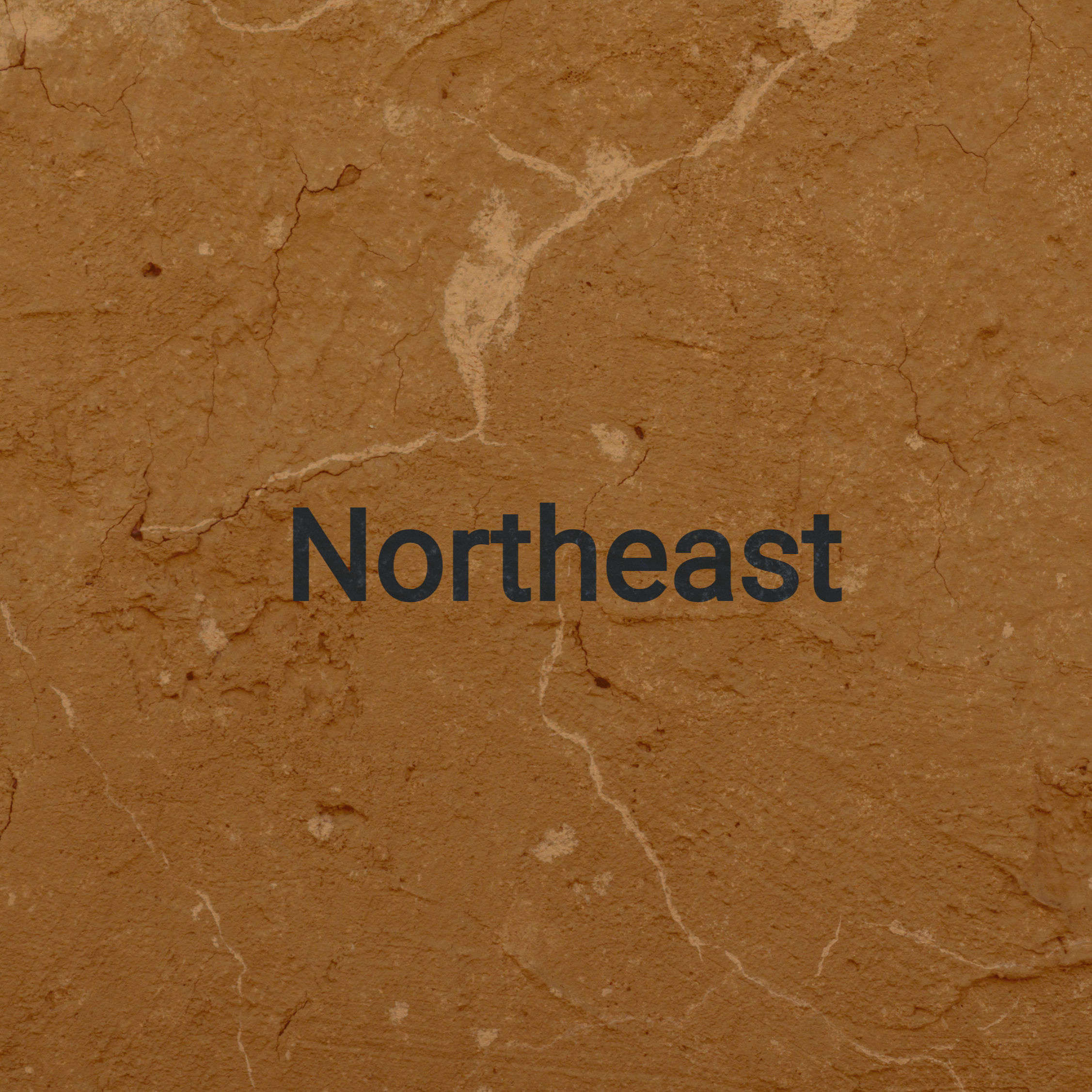 Northeast Facing Home Introduction Guide