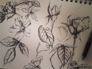 Midsummer sketches!