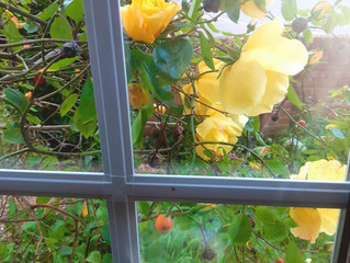 Life goes on out there in yellow and green