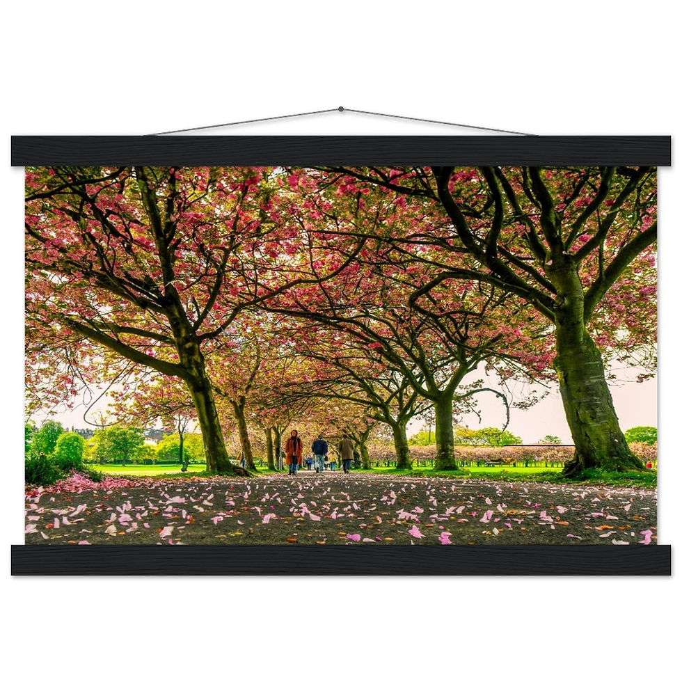 Thumbnail: The Meadows - Blooming  - Premium Matte Print with Hanger