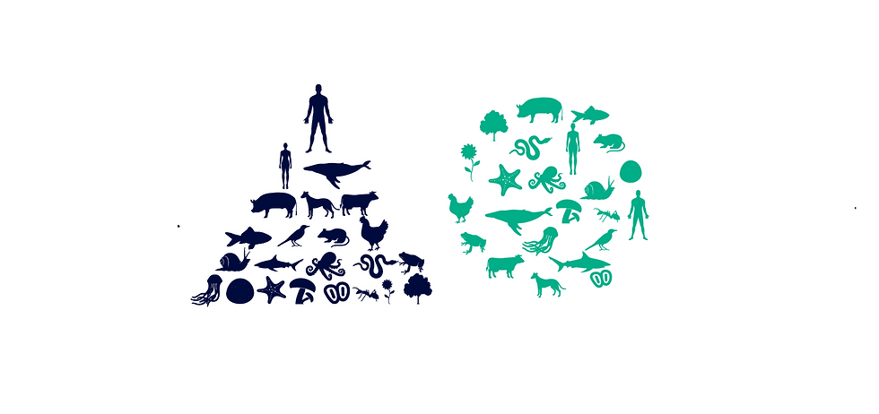 anthropocentrism or ecocentrism?