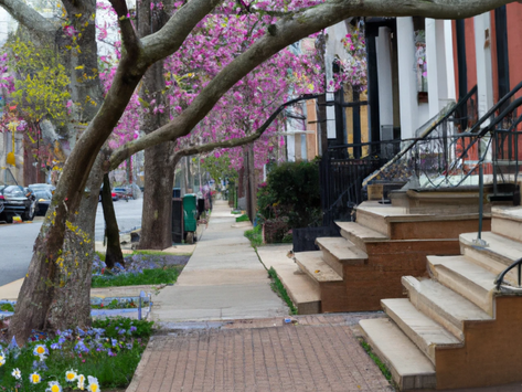 Spring into Adventure: Why Escape Rooms are the Ultimate Activity!