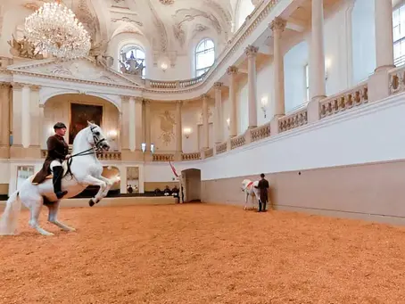 The Spanish Riding School