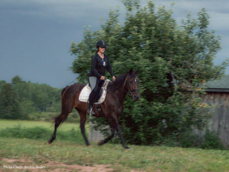 Saddles and Saddle Fit