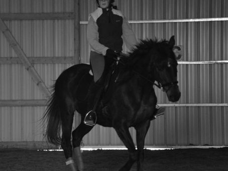 Dressage Book Study.The Supporting Aids