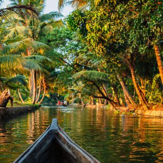 A boat on a lake in Kerala.