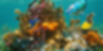 An aquarium in Singapore.