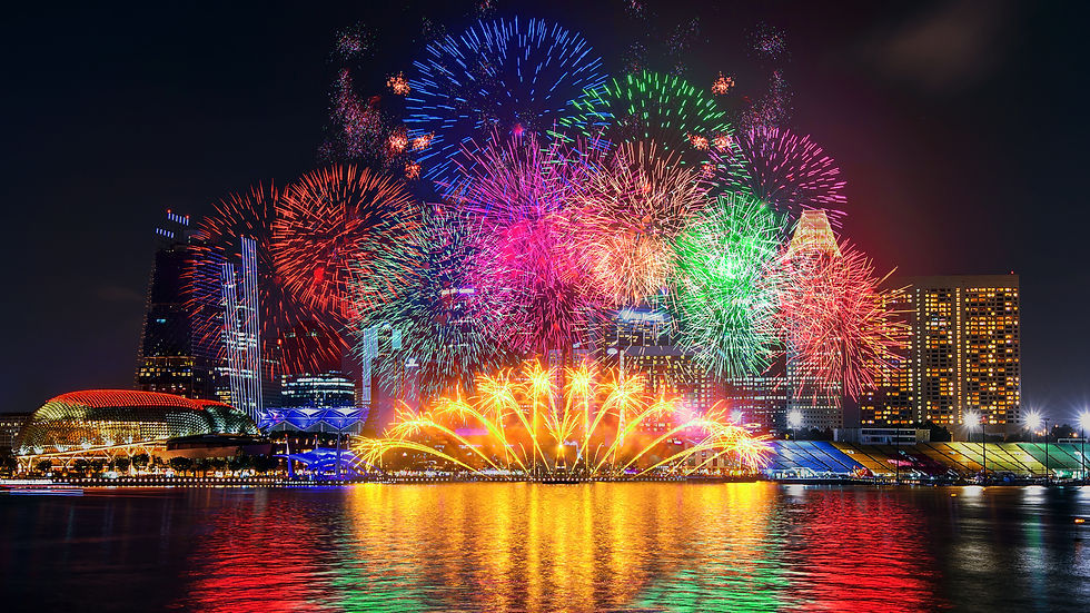 Dubai Fest