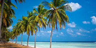 Agatti Island | Lakshadweep | India